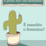 La copertina della rubrica Domande spinose mostra un cactus che alza un dito per fare una domanda scomoda, come faremmo noi: ingenuamente nel modo sbagliato!La domanda che si fa il cactus è: È maschio o femmina?