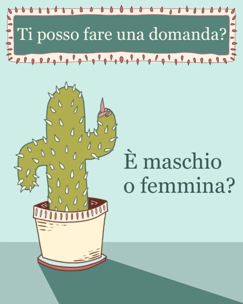 La copertina della rubrica Domande spinose mostra un cactus che alza un dito per fare una domanda scomoda, come faremmo noi: ingenuamente nel modo sbagliato!La domanda che si fa il cactus è: È maschio o femmina?